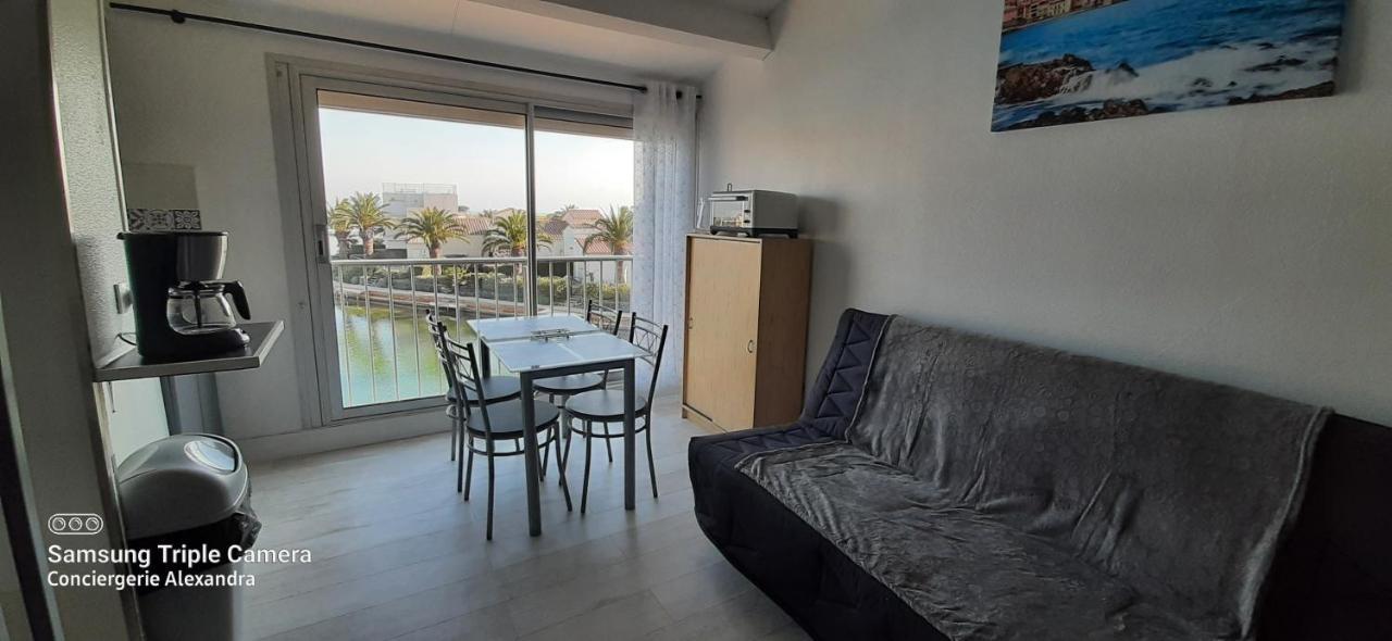 Vue Magique Sur La Marina - Appart En Duplex, Les Pieds Dans L'Eau Saint-Cyprien  Luaran gambar